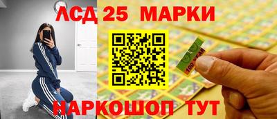 шишки Кингисепп