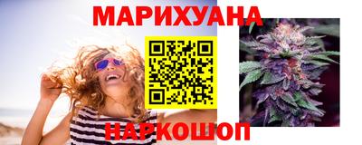шишки Кингисепп