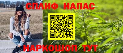шишки Кингисепп