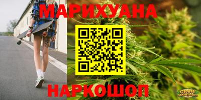 шишки Кингисепп