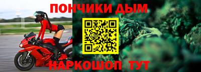 шишки Кингисепп