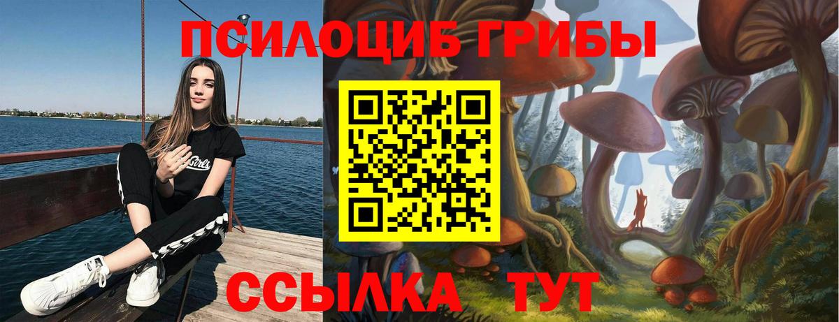 Псилоцибиновые грибы прущие грибы  Вход с VPN  Бирск 